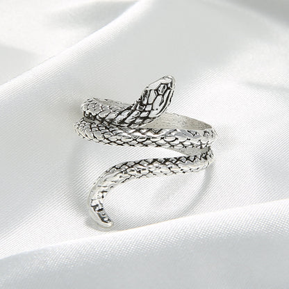 Plata Anillo impresionante para uso diario