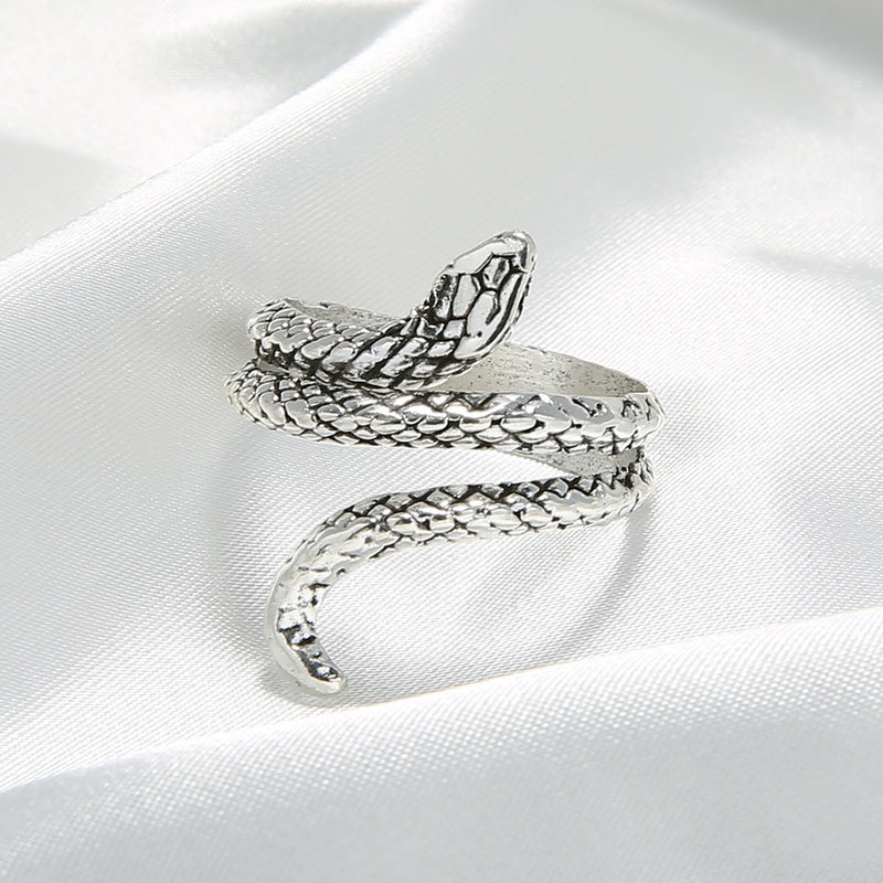 Plata Anillo impresionante para uso diario