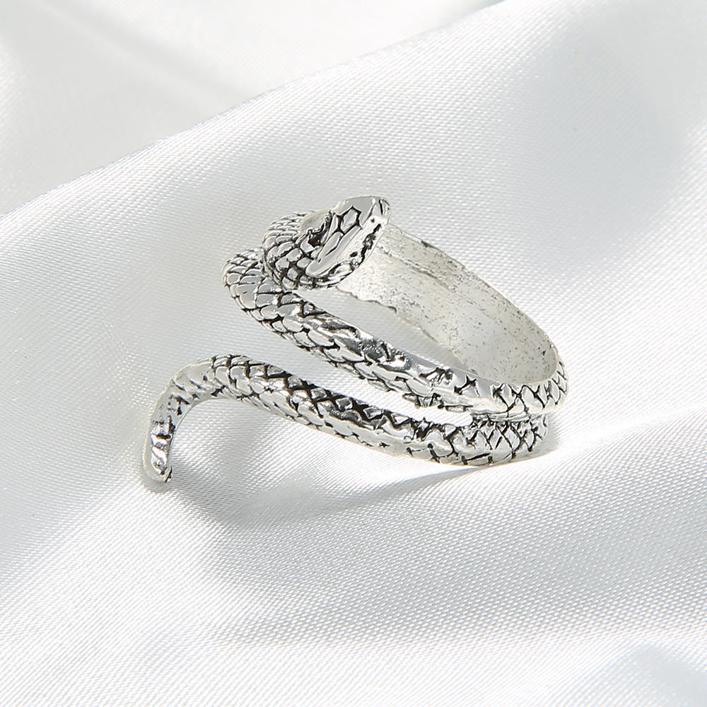 Plata Anillo impresionante para uso diario