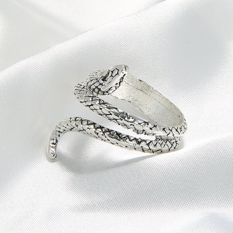 Plata Anillo impresionante para uso diario