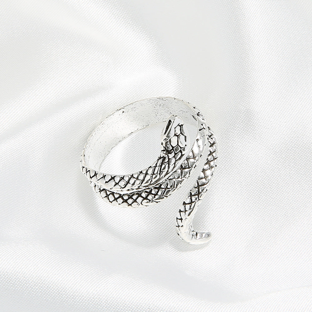 Plata Anillo impresionante para uso diario