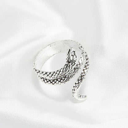 Plata Anillo impresionante para uso diario