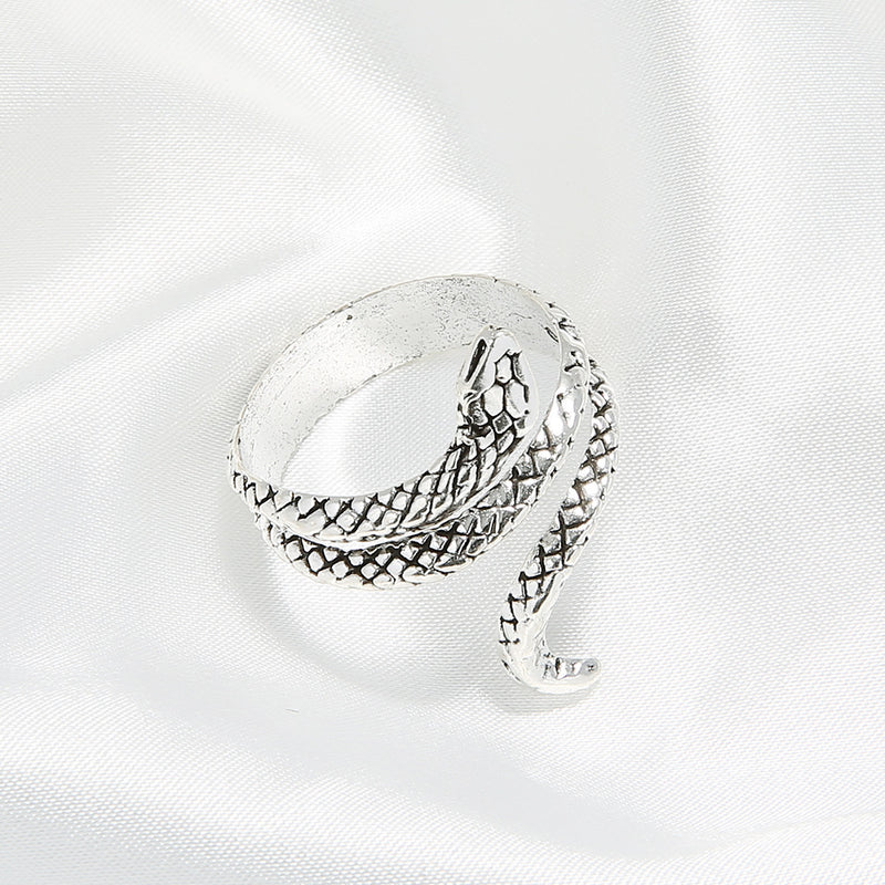 Plata Anillo impresionante para uso diario