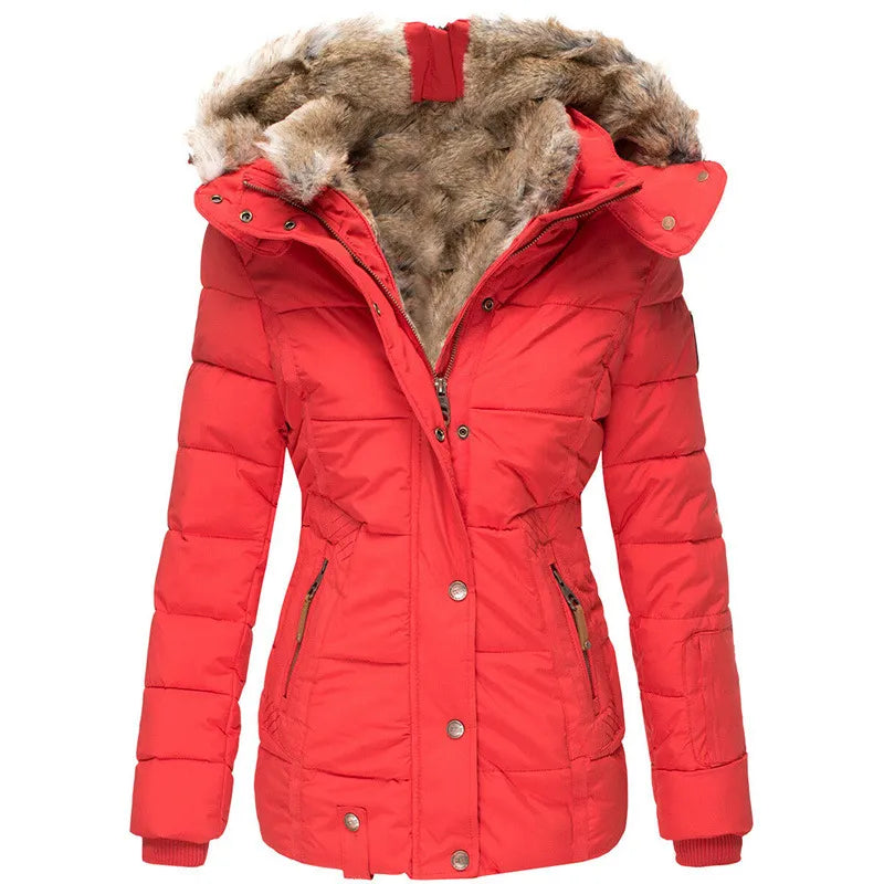 Chaqueta de diseño cuidado