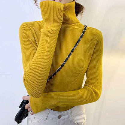 Suéter de diseño elegante