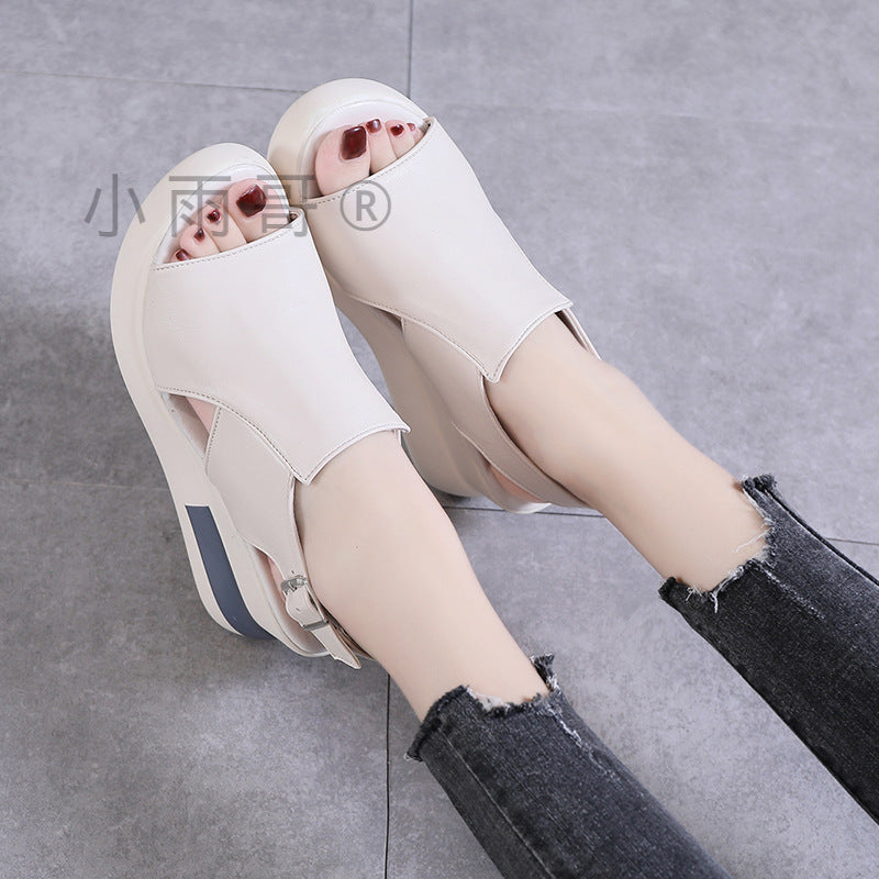 Sandalias Ortopédicos Clásicos con Estilo Atemporal