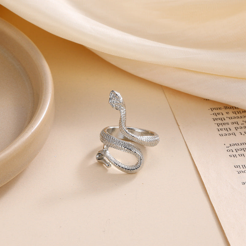 Plata Anillo clásico con encanto atemporal