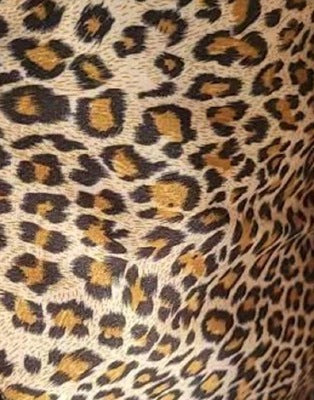 Botas Ortopédicos Bellamente Diseñados