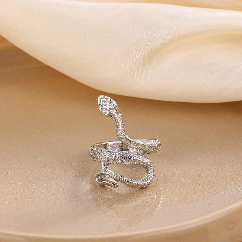 Plata Anillo clásico con encanto atemporal