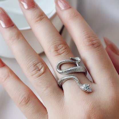 Plata Anillo clásico con encanto atemporal