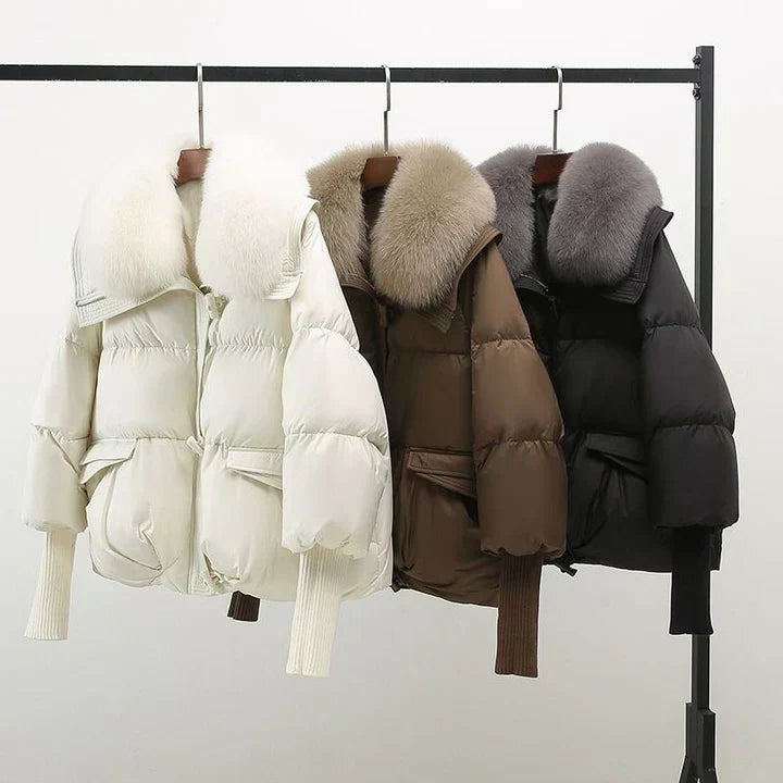 Chaqueta de diseño elegante