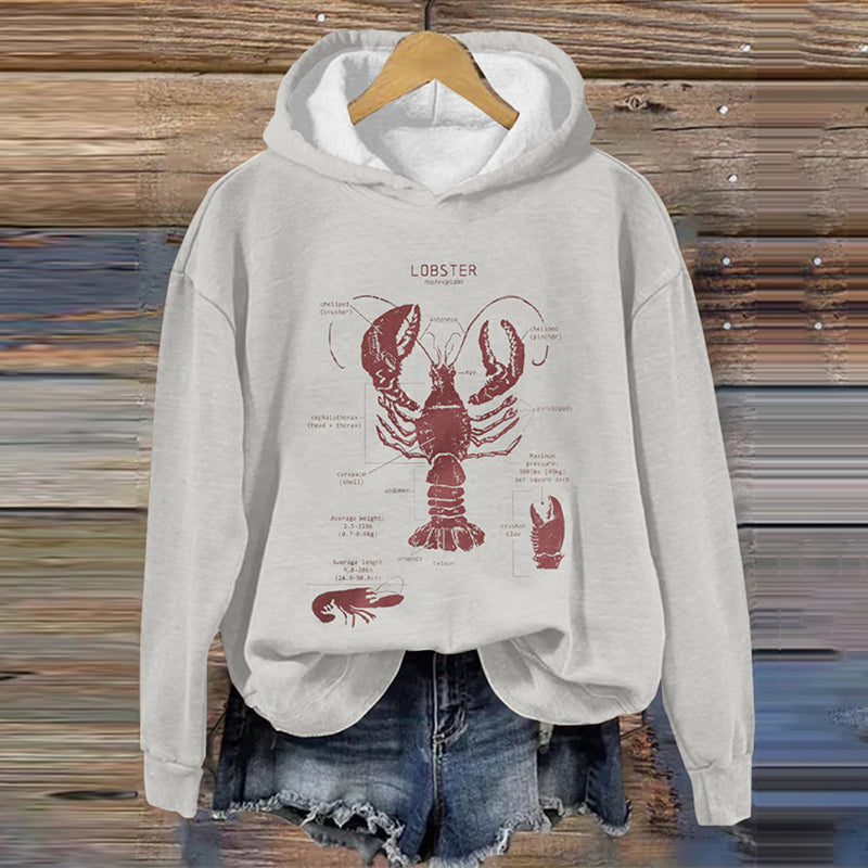Camisa bellamente confeccionado