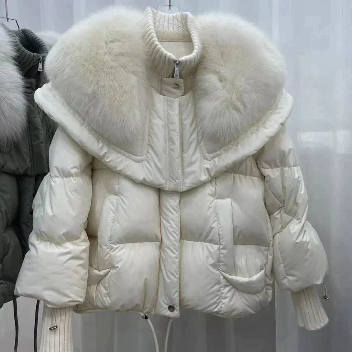 Chaqueta de diseño elegante